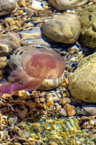 Cover of Jellyfish in a Tidepool