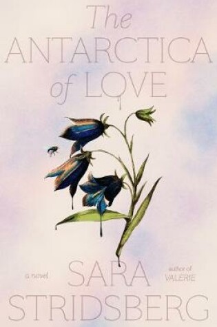Cover of The Antarctica of Love