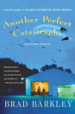 Book cover for Another Perfect Catastrophe