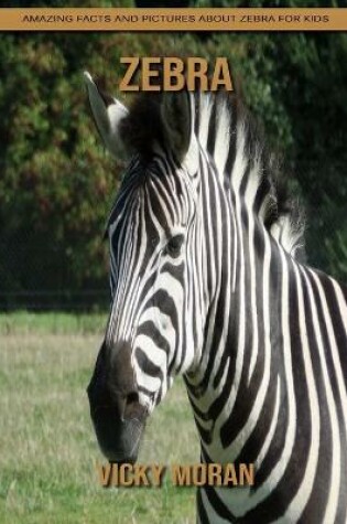 Cover of Zebra