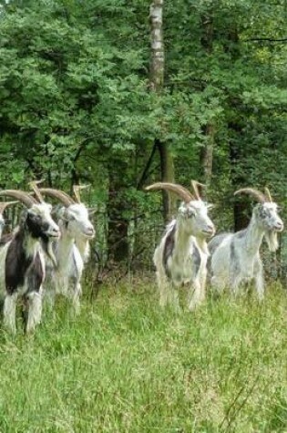 Cover of A Bunch of Goats in the Netherlands, for the Love of Animals