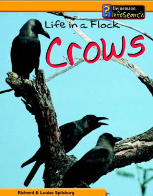 Cover of Animal Groups: Life in a Flock of Crows Paperback