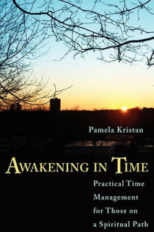 Cover of Awaking in Time