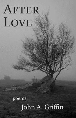 Book cover for After Love