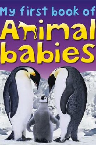 Cover of My First Book of Animal Babies