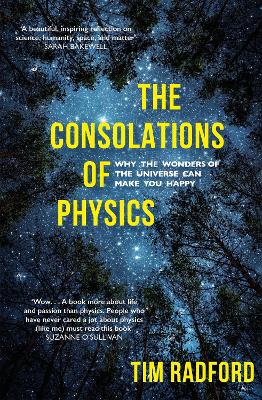 Book cover for The Consolations of Physics