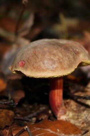 Cover of Chestnut Cap Mushroom Journal