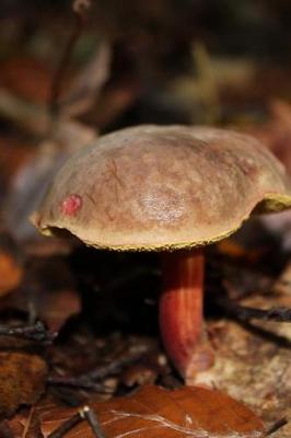 Book cover for Chestnut Cap Mushroom Journal