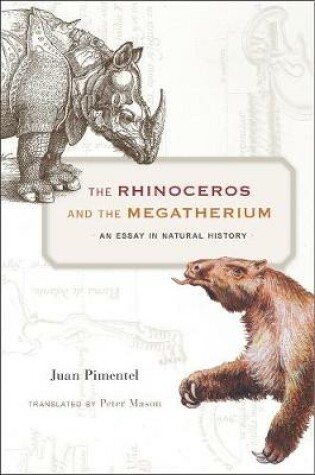 Cover of The Rhinoceros and the Megatherium