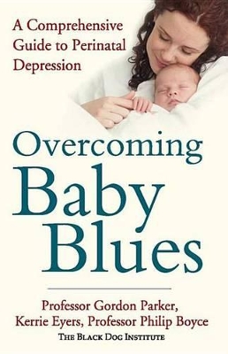 Book cover for Overcoming Baby Blues