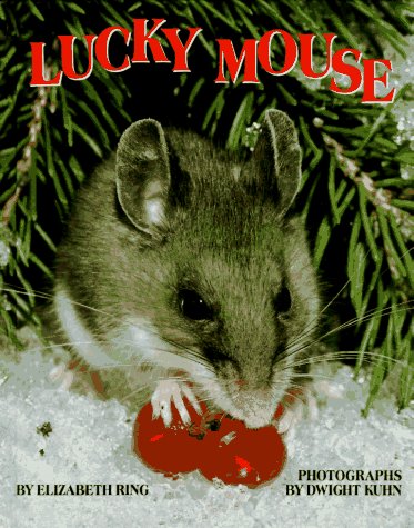 Book cover for Lucky Mouse