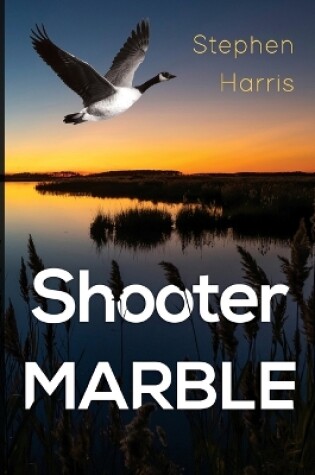 Cover of Shooter Marble