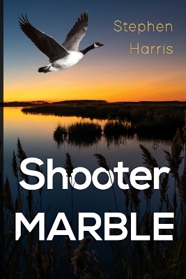 Book cover for Shooter Marble