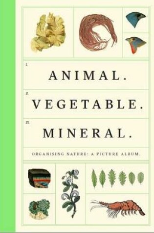 Cover of Animal Vegetable Mineral
