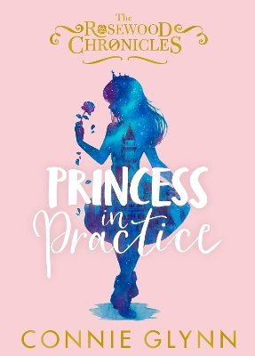 Book cover for Princess in Practice