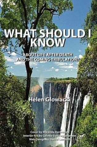 Cover of What Should I Know about Life After Death and the Coming Tribulation?