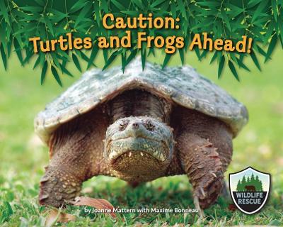 Book cover for Caution: Turtles and Frogs Ahead!