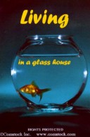 Book cover for Living in a Glass House