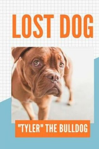 Cover of lost dog