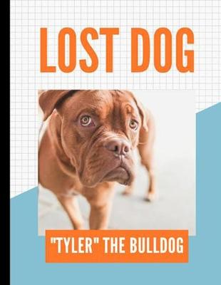 Book cover for lost dog