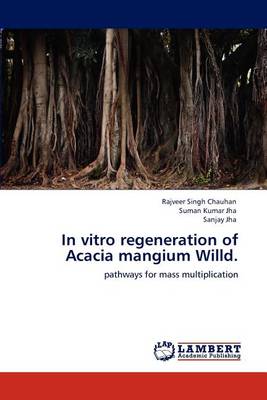 Book cover for In vitro regeneration of Acacia mangium Willd.