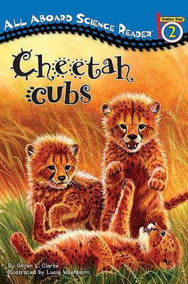 Book cover for Cheetah Cubs