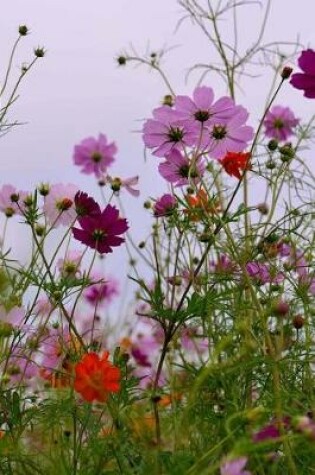 Cover of Colorful Cosmos Flowers Garden Blooms Journal