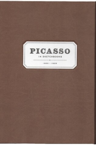 Cover of Picasso: 14 Sketchbooks
