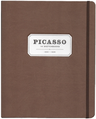 Book cover for Picasso: 14 Sketchbooks