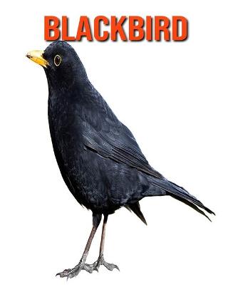 Book cover for Blackbird