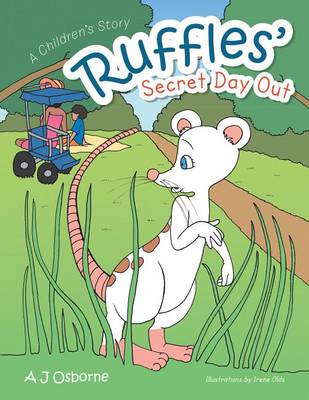 Book cover for Ruffles' Secret Day Out