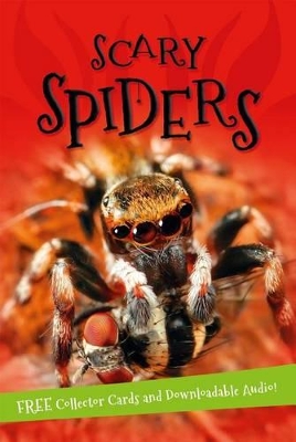 Book cover for It's All About... Scary Spiders