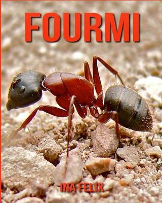 Book cover for Fourmi