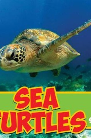 Cover of Sea Turtles