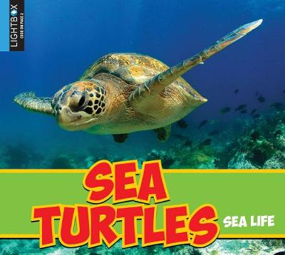 Cover of Sea Turtles