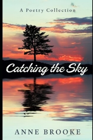 Cover of Catching the Sky