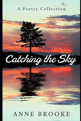 Book cover for Catching the Sky