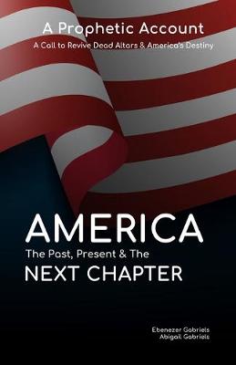 Book cover for America