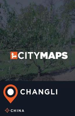 Book cover for City Maps Changli China