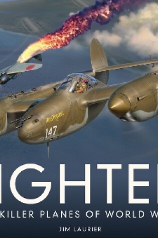 Cover of Fighter!