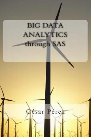 Cover of Big Data Analytics Through SAS