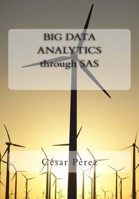 Book cover for Big Data Analytics Through SAS