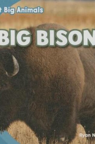 Cover of Big Bison