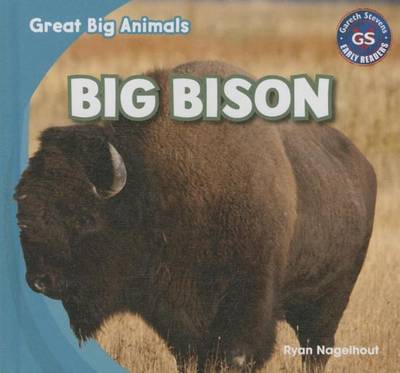 Book cover for Big Bison
