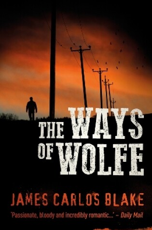 Cover of The Ways of Wolfe