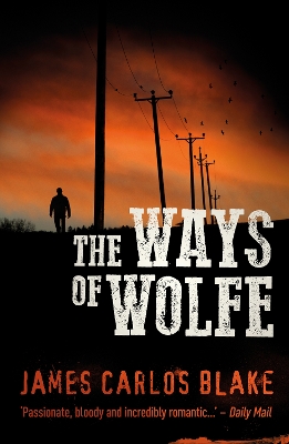 Book cover for The Ways of Wolfe