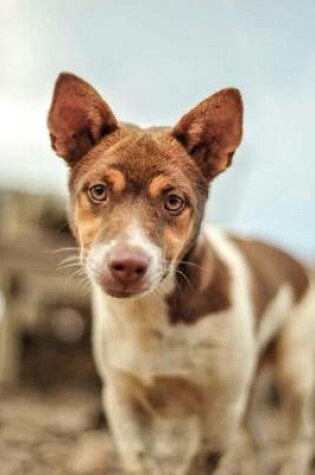 Cover of Brown and White Mixed Breed Dog Journal