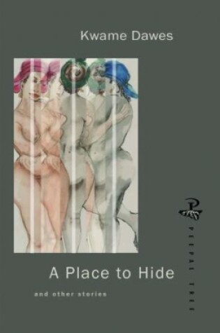 Cover of A Place to Hide