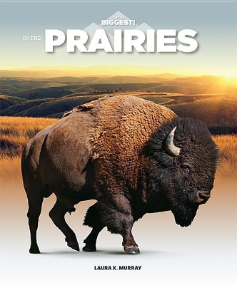 Book cover for In the Prairies