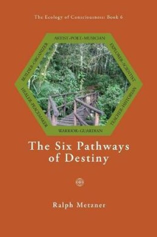 Cover of The Six Pathways of Destiny